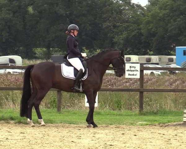 Reitturnier Ostbevern 2024