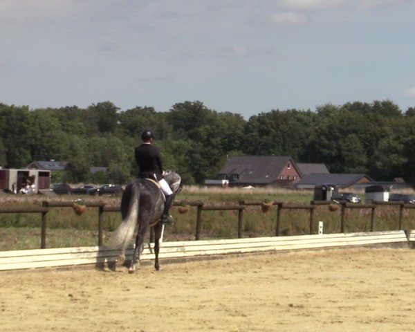 Reitturnier Ostbevern 2024