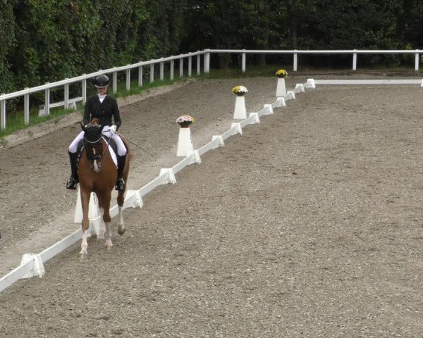 Reitturnier Zillhofen/Obb. 2024