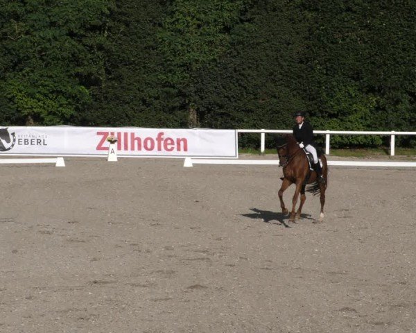 Reitturnier Zillhofen/Obb. 2024