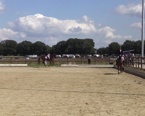 Reitturnier Ostbevern 2024