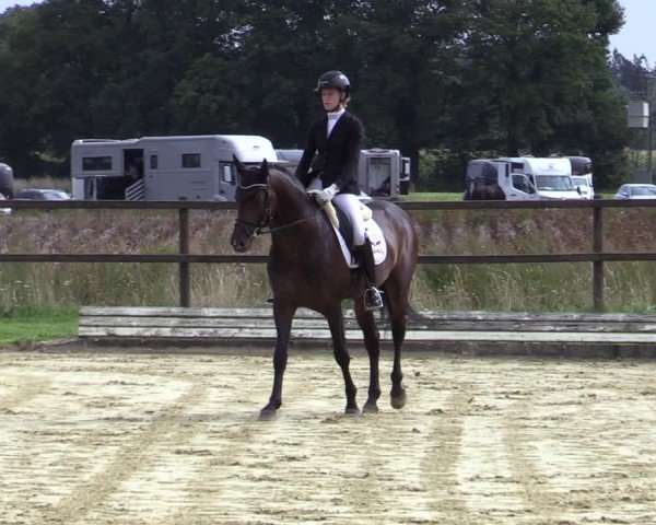 Reitturnier Ostbevern 2024