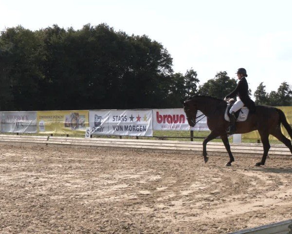Reitturnier Ostbevern 2024