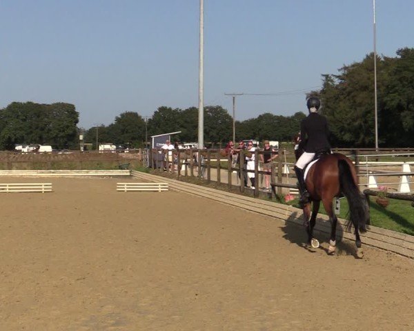 Reitturnier Ostbevern 2024