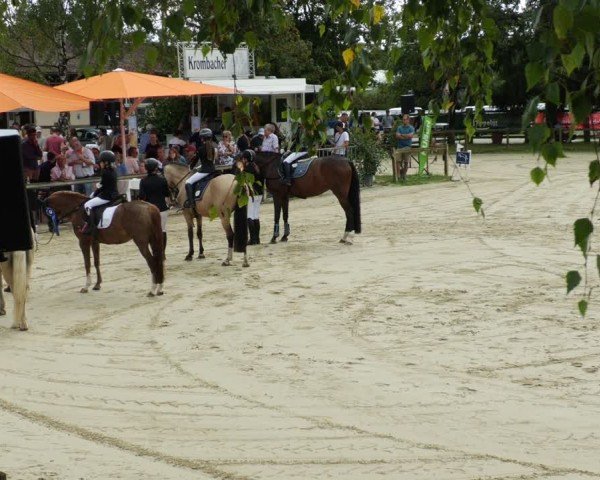Reitturnier Walldorf/Winterheck 2024