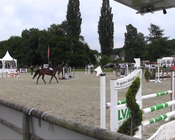 Remmighausen 2013