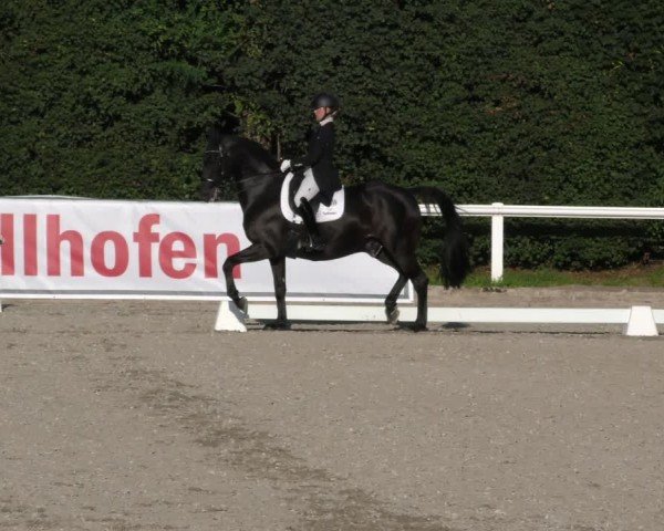 Reitturnier Zillhofen/Obb. 2024