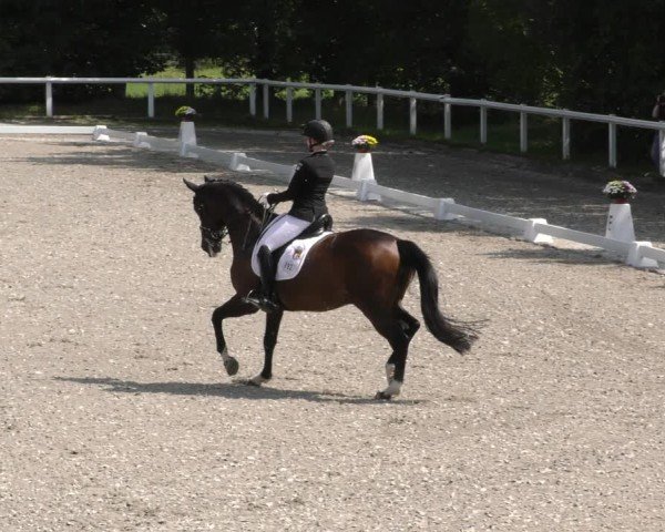 Reitturnier Zillhofen/Obb. 2024
