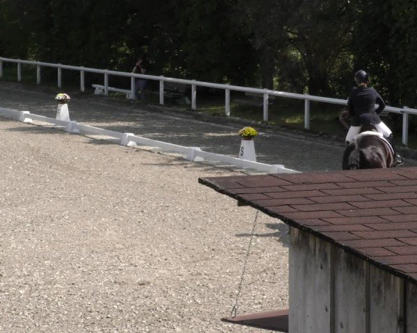 Reitturnier Zillhofen/Obb. 2024