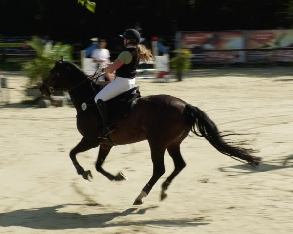 Reitturnier Walldorf/Winterheck 2024