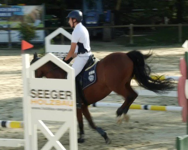 Reitturnier Walldorf/Winterheck 2024