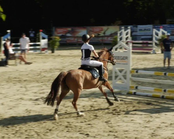 Reitturnier Walldorf/Winterheck 2024