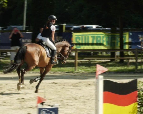 Reitturnier Walldorf/Winterheck 2024