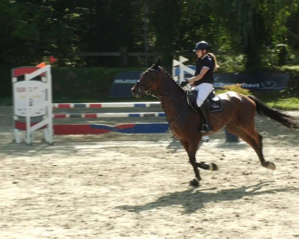 Reitturnier Walldorf/Winterheck 2024