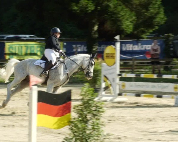 Reitturnier Walldorf/Winterheck 2024