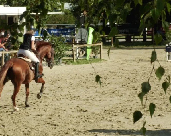Reitturnier Walldorf/Winterheck 2024