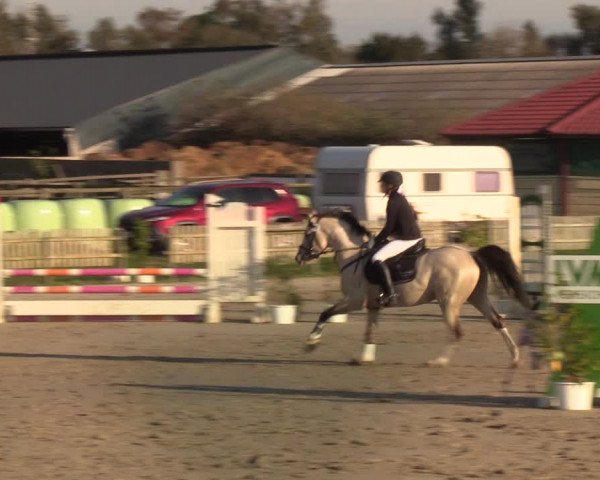 Reitturnier Schülp / Rendsburg 2021