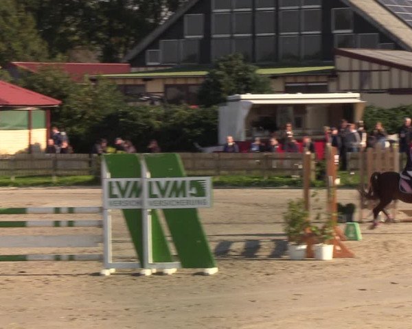 Reitturnier Schülp / Rendsburg 2021