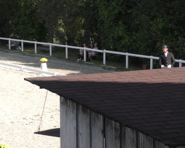 Reitturnier Zillhofen/Obb. 2024