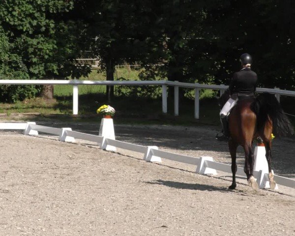 Reitturnier Zillhofen/Obb. 2024