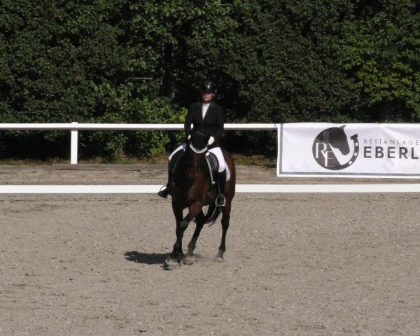 Reitturnier Zillhofen/Obb. 2024