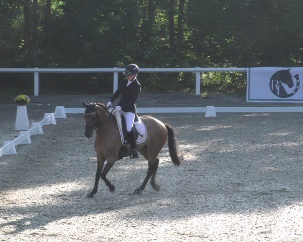 Reitturnier Zillhofen/Obb. 2024