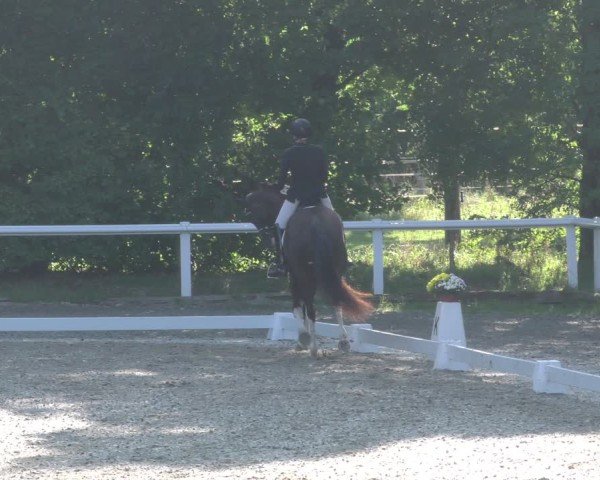 Reitturnier Zillhofen/Obb. 2024