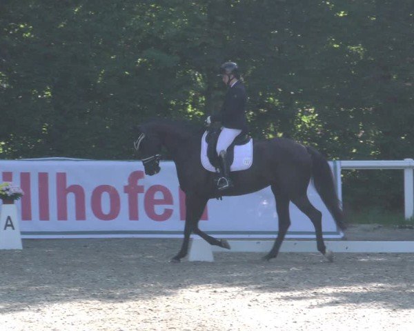 Reitturnier Zillhofen/Obb. 2024