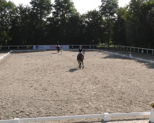 Reitturnier Zillhofen/Obb. 2024
