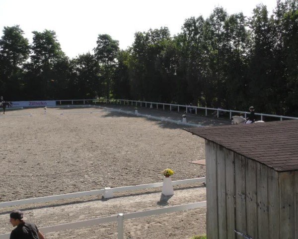 Reitturnier Zillhofen/Obb. 2024