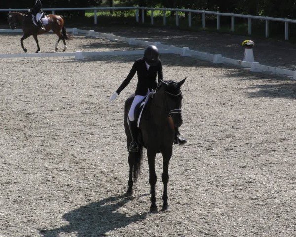 Reitturnier Zillhofen/Obb. 2024