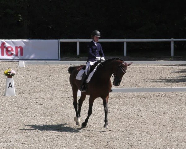 Reitturnier Zillhofen/Obb. 2024