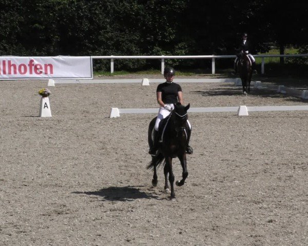 Reitturnier Zillhofen/Obb. 2024