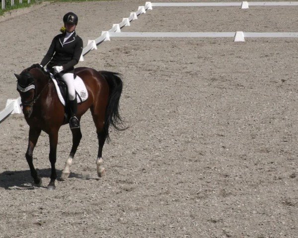 Reitturnier Zillhofen/Obb. 2024
