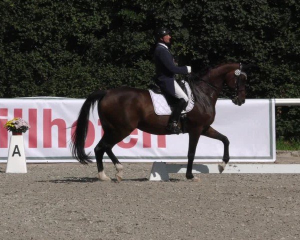 Reitturnier Zillhofen/Obb. 2024