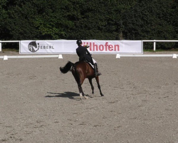 Reitturnier Zillhofen/Obb. 2024