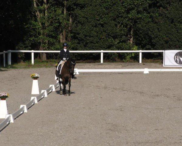 Reitturnier Zillhofen/Obb. 2024