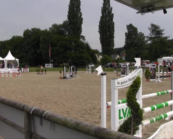 Remmighausen 2013