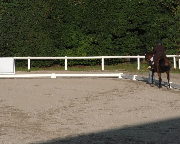 Reitturnier Zillhofen/Obb. 2024
