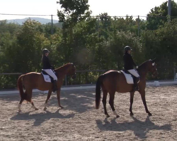 Reitturnier Großbardorf/Ufr. 2024