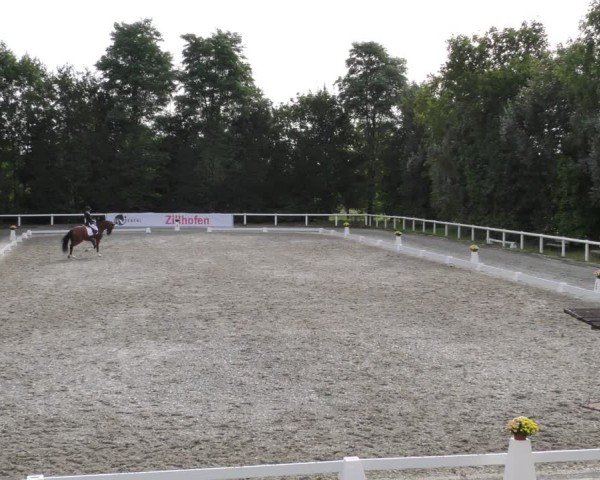 Reitturnier Zillhofen/Obb. 2024