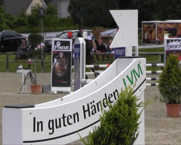 Remmighausen 2013