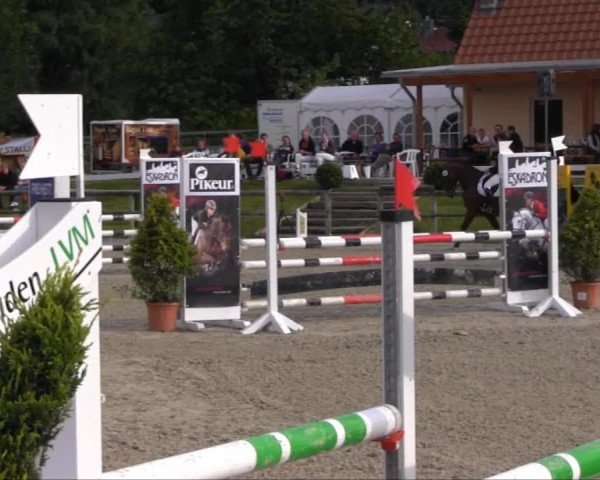Remmighausen 2013
