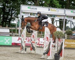 jumper Leaper Dublin Gm (Cruzado-Espanol, 2019, from Destello Ls)