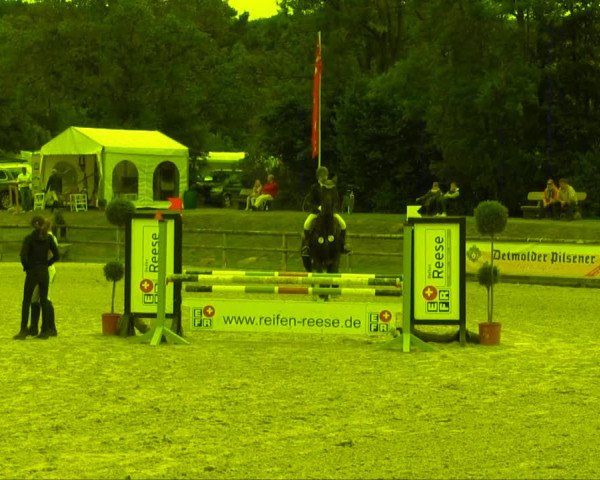 Remmighausen 2013