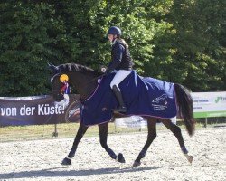 Springpferd Cosi Matti (Holsteiner, 2014, von Centurion)