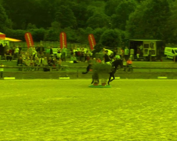 Remmighausen 2013