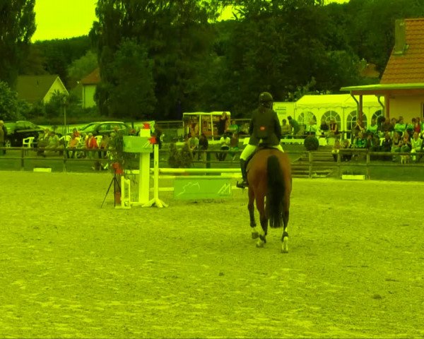 Remmighausen 2013