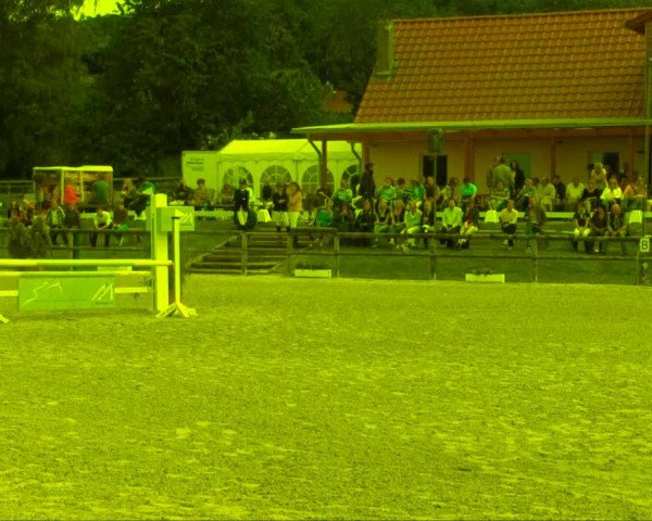 Remmighausen 2013
