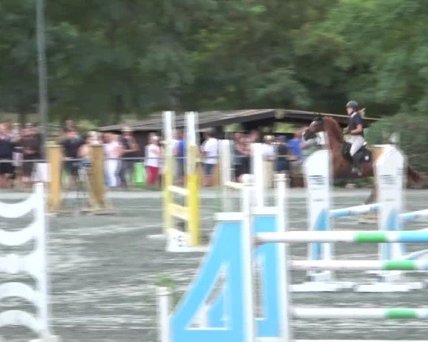 Reitturnier Horitschon 2024